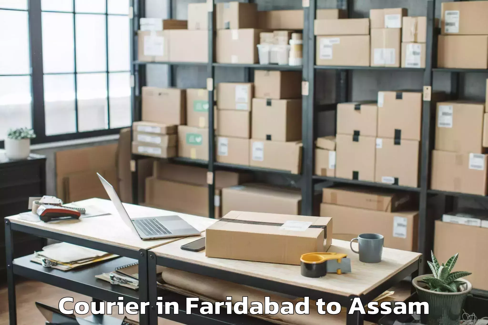 Leading Faridabad to Patharighat Courier Provider